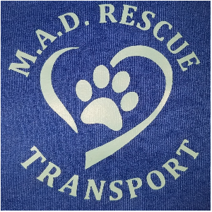 M A D RESCUE TRANSPORT Logo