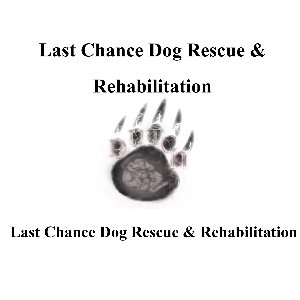 Last chance dog rescue and rehabilitation Logo