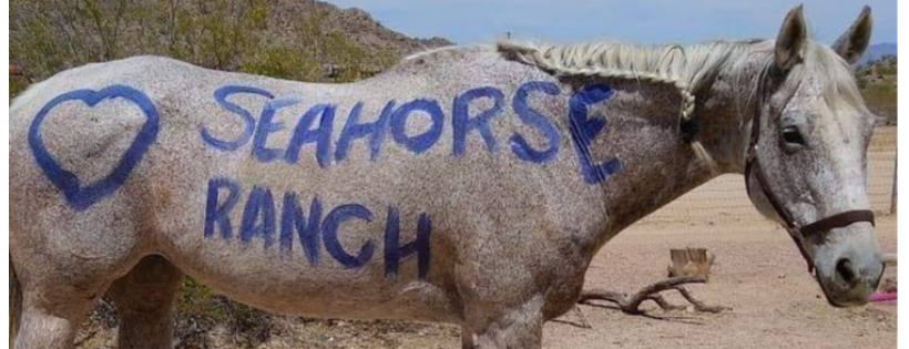 Seahorse Ranch Rescue