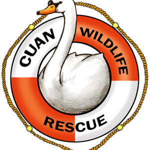 Cuan Wildlife Rescue Logo