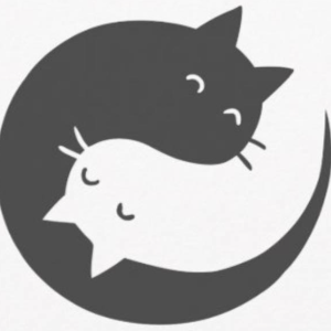 Torquay Cat Rescue