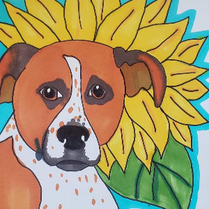 Akayas Adopted Crew Rescue and Sanctuary Logo