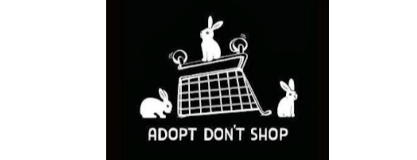 Friends of Rabbits