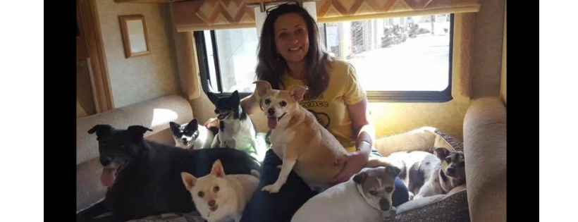 PAWSitive Difference Pet Rescue