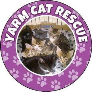 Yarm cat rescue Logo