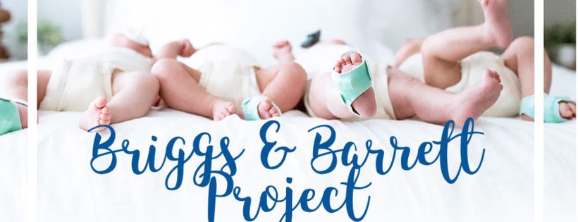 Briggs and Barrett Project