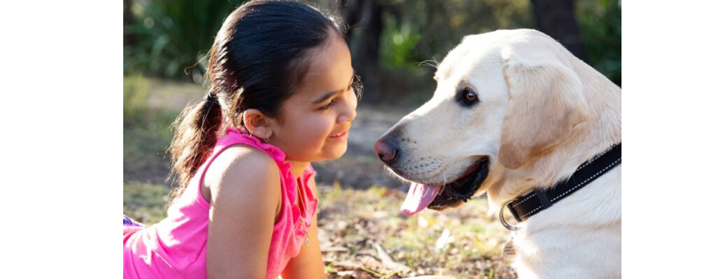 Guide Dogs Victoria