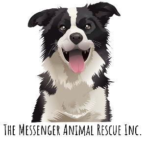 The Messenger Animal Rescue Inc. Logo
