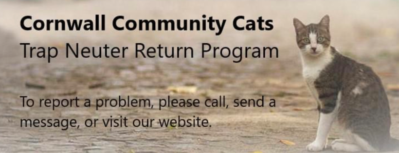 Cornwall Community Cats