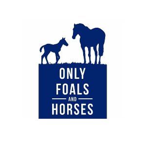 Only Foals and Horses sanctuary
