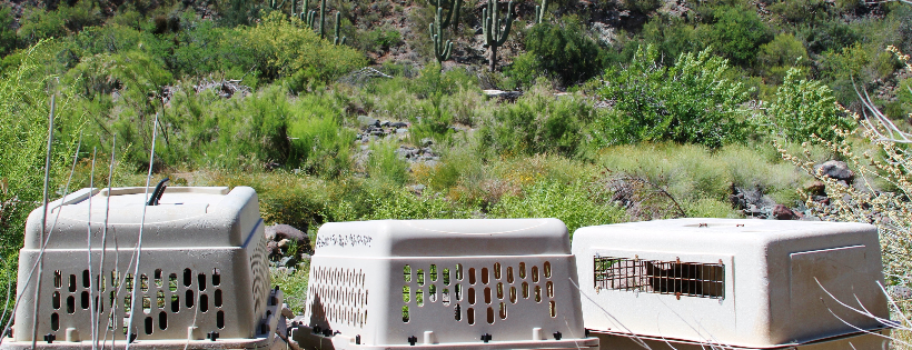 Southwest Wildlife Conservation Center