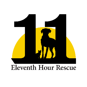 Eleventh hour rescue Logo
