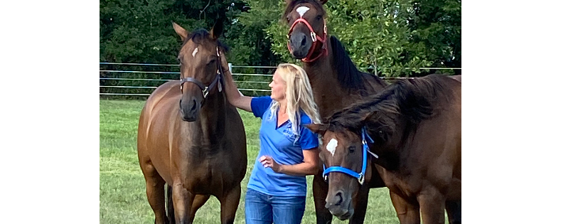 Koch Thoroughbred Transformations