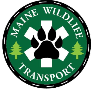 Maine Wildlife Transport Inc Logo