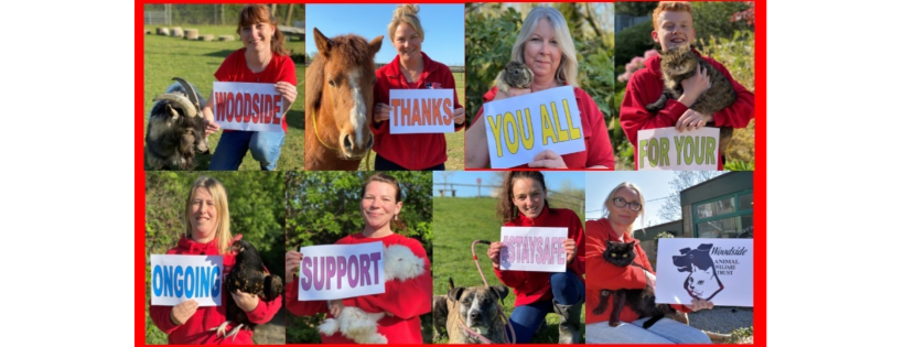 Woodside Animal Welfare Trust