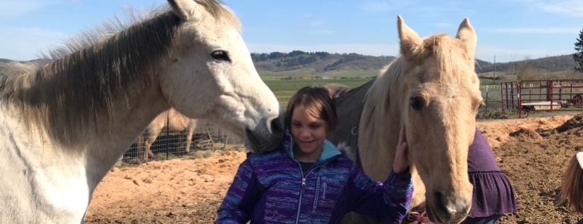 Willow Branch Horse Haven and Refuge