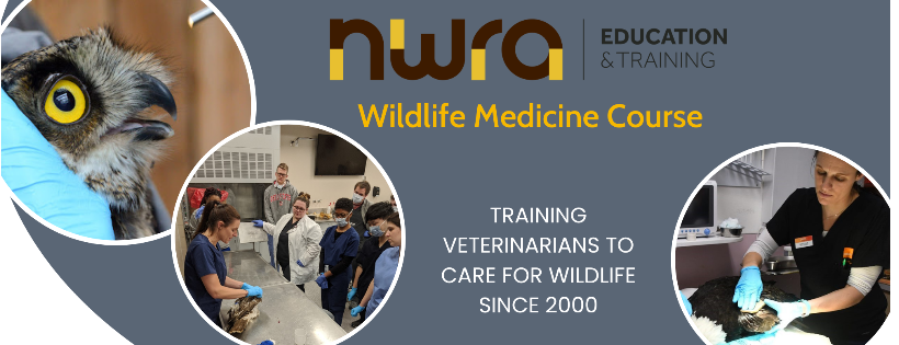 National Wildlife Rehabilitators Association