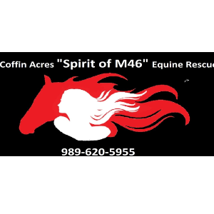 Coffin Acres Spirit of M46 Equine Rescue