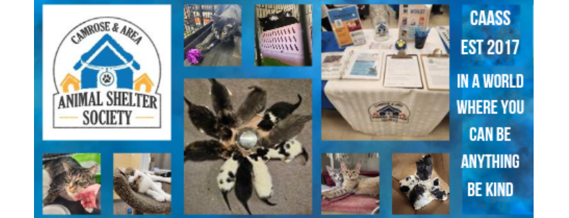 Camrose & Area Animal Shelter