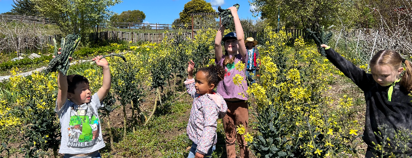 Farm Discovery at Live Earth