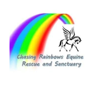 Chasing Rainbows equine rescue and sanctuary