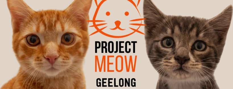 Project Meow Ltd