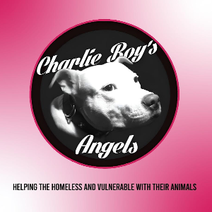Charlie boys angels