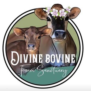 Divine Bovine Farm Sanctuary Logo