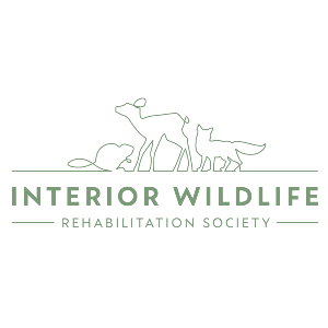 Interior Wildlife Rehabilitation Society Logo