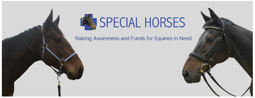 Special Horses, Inc.