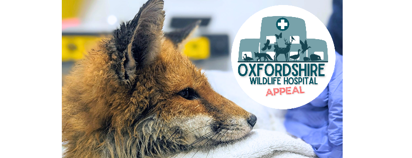 Oxfordshire Wildlife Rescue