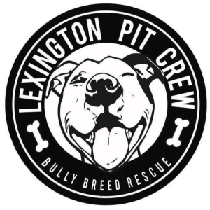 Lexington Pit Crew Logo