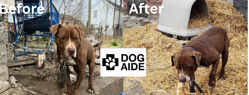 Dog Aide