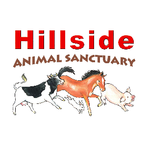Hillside Animal Sanctuary