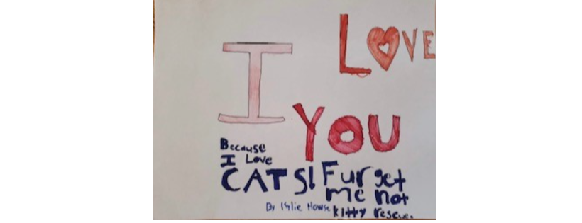 Furget me Not Bay d'Espoir Kitty Rescue Group