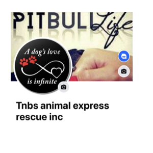 Tnbs animal express rescue inc Logo