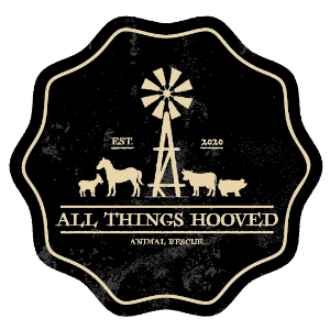 All Things Hooved Animal Rescue