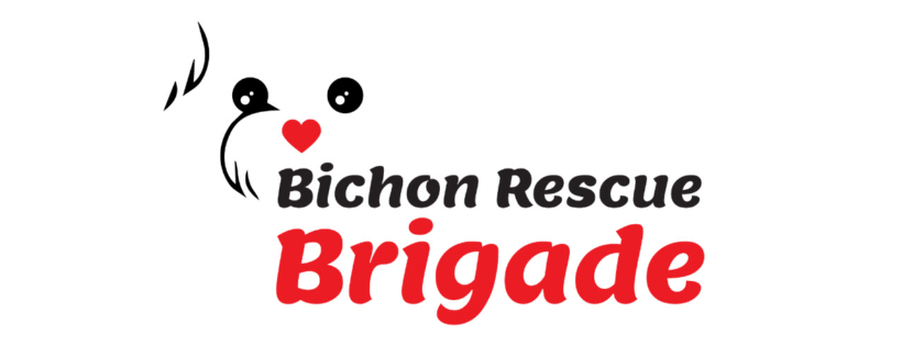 Bichon Rescue Brigade