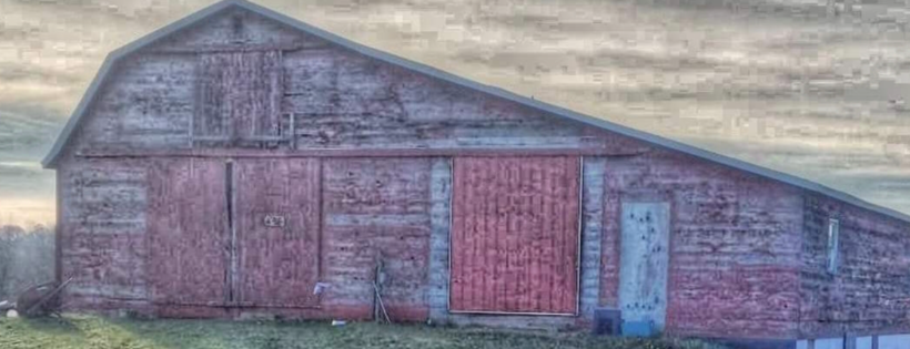Critters Creek Farm Inc Rescue and Sanctuary