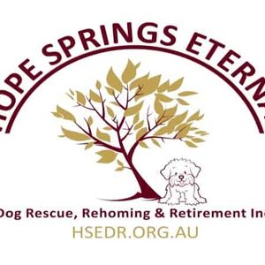 Hope Springs Eternal Dog Rescue, Rehoming and Retirement Inc