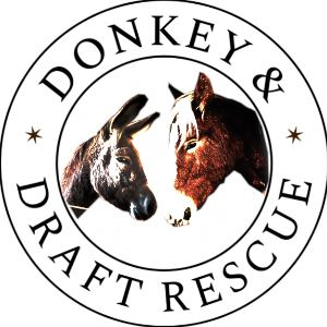 Donkey & Draft Rescue Logo