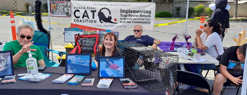 Visalia Feral Cat Coalition Inc