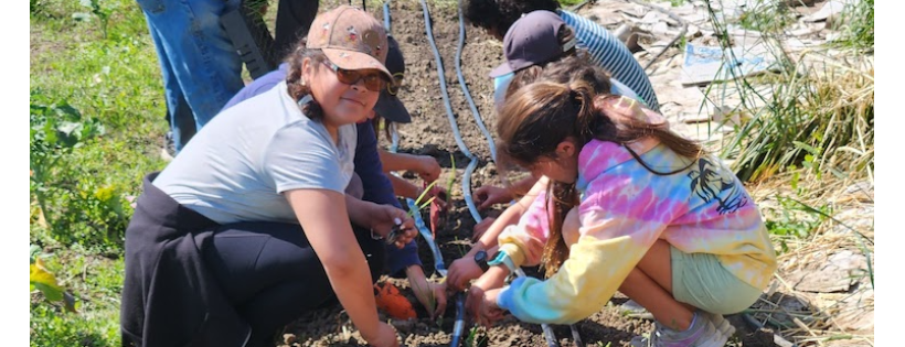 Farm Discovery at Live Earth