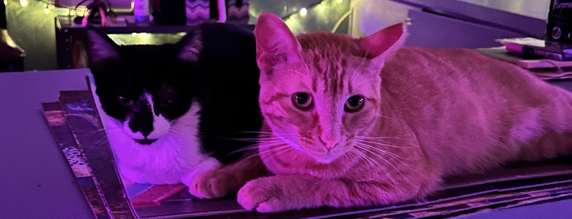 Charlie’s Wags and Whiskers