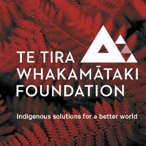 Te Tira Whakamātaki