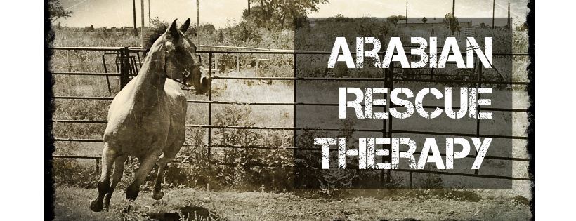 Arabian Rescue Therapy