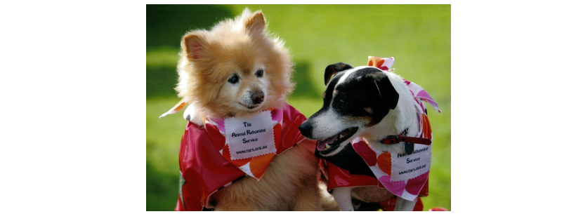 The Animal Rehoming Service Inc.