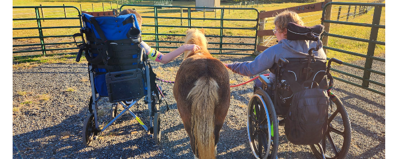 Chesapeake Therapeutic Riding, Inc.