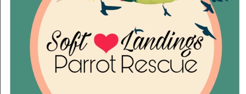 Soft Landings Parrot Rescue, Inc