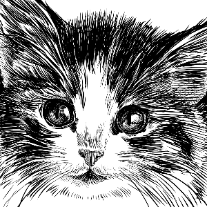 Christys Kitties Rescue and Sanctuary Inc